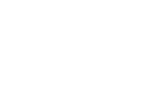 Elisir logo